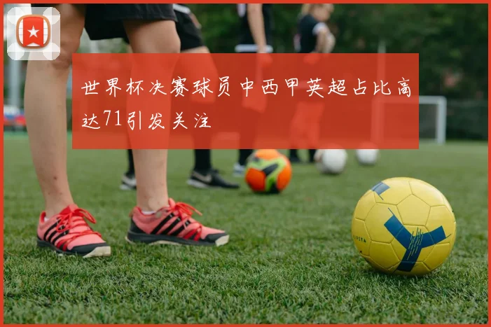 世界杯决赛球员中西甲英超占比高达71引发关注