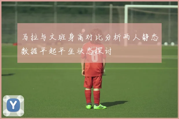 马拉与文班身高对比分析两人静态数据平起平坐状态探讨