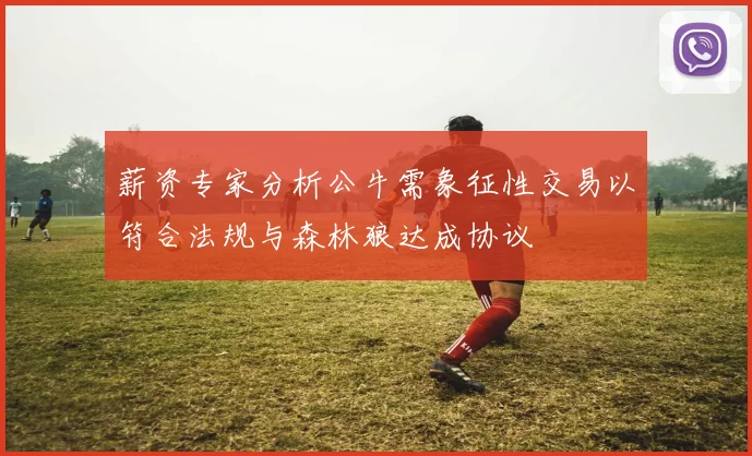 薪资专家分析公牛需象征性交易以符合法规与森林狼达成协议
