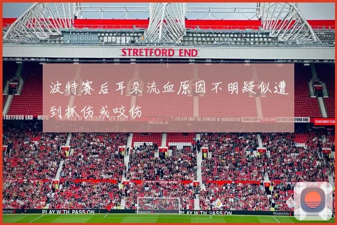 波特赛后耳朵流血原因不明疑似遭到抓伤或咬伤