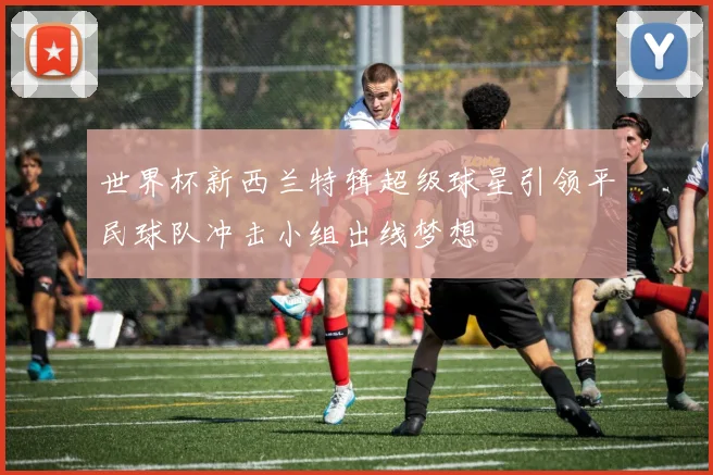 世界杯新西兰特辑超级球星引领平民球队冲击小组出线梦想